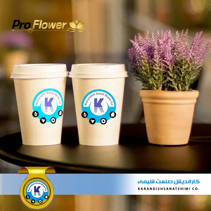 Price and purchase of Proflower disposable paper cups