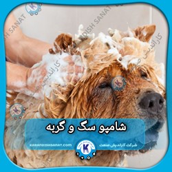 فرمولاسیون شامپو سگ و گربه