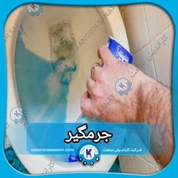 فرمولاسیون جرمگیر