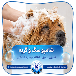 فرمولاسیون شامپو سگ و گربه